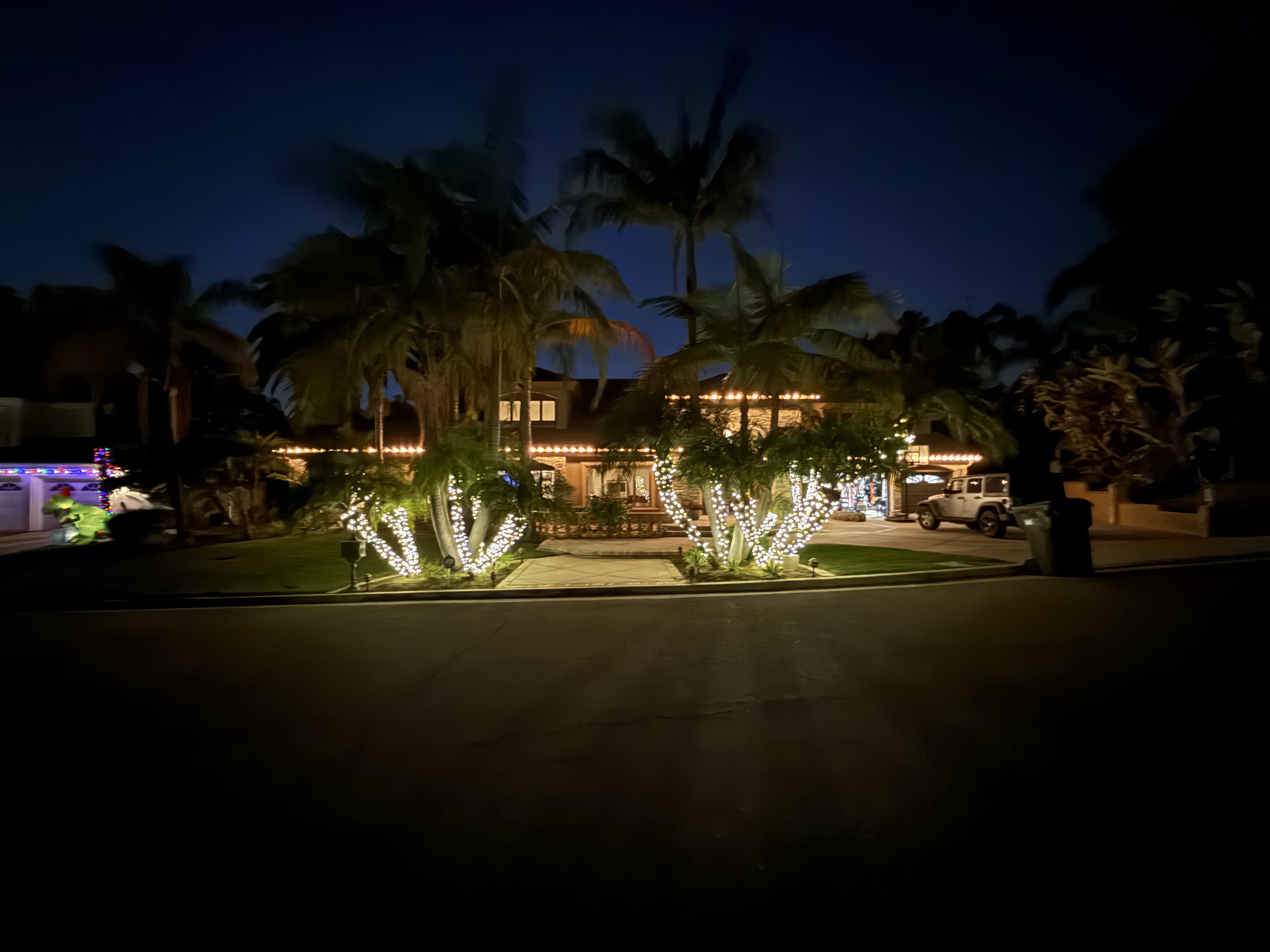 Home framed by illuminated palms and a glowing roofline